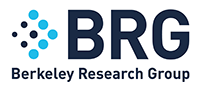 Berkeley Research Group, LLC