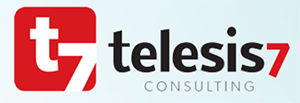 Telesis7 Management Consulting