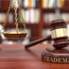 Surveys in Trademark Litigation