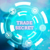 Trade Secret Enforcement Trends and Developments: What Companies Need to Know