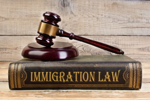 A Review of Immigration Policies: Key Facts Explored