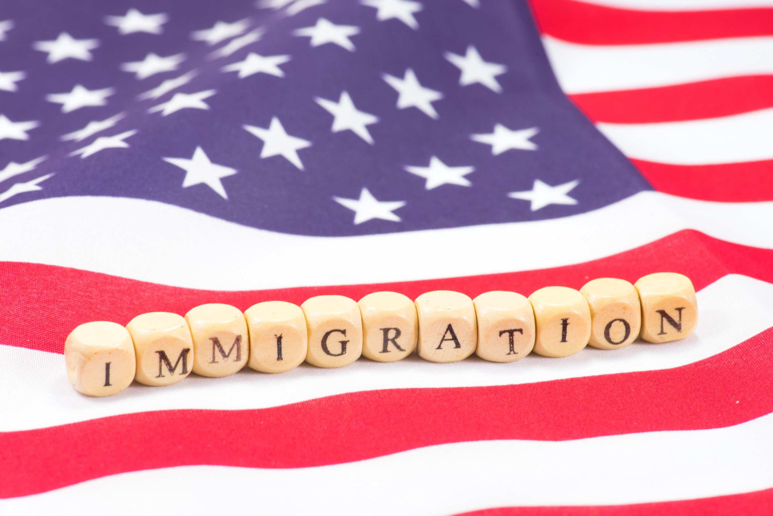immigration,immigration law,cle